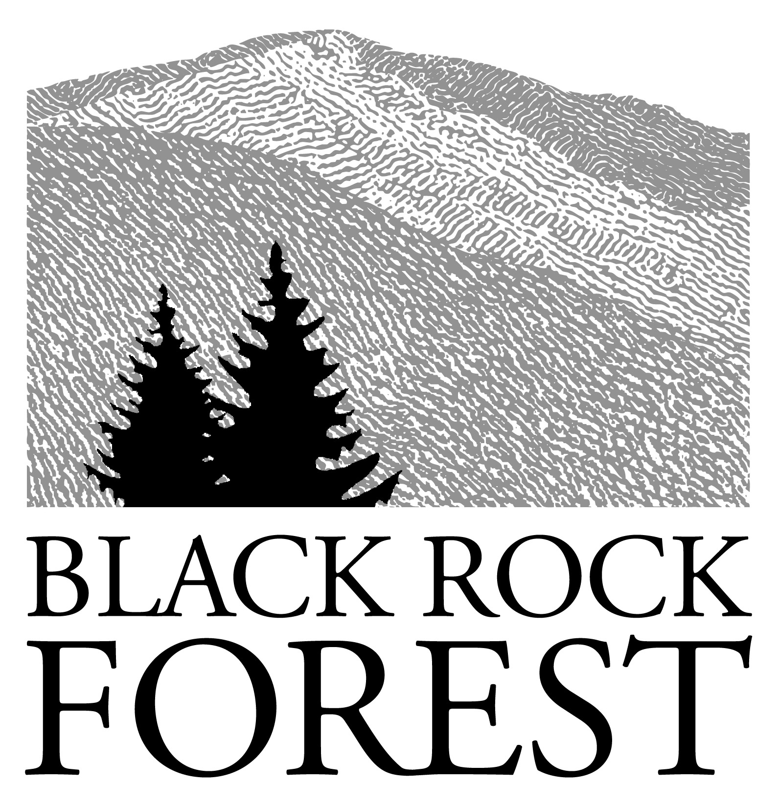 Black Rock Forest