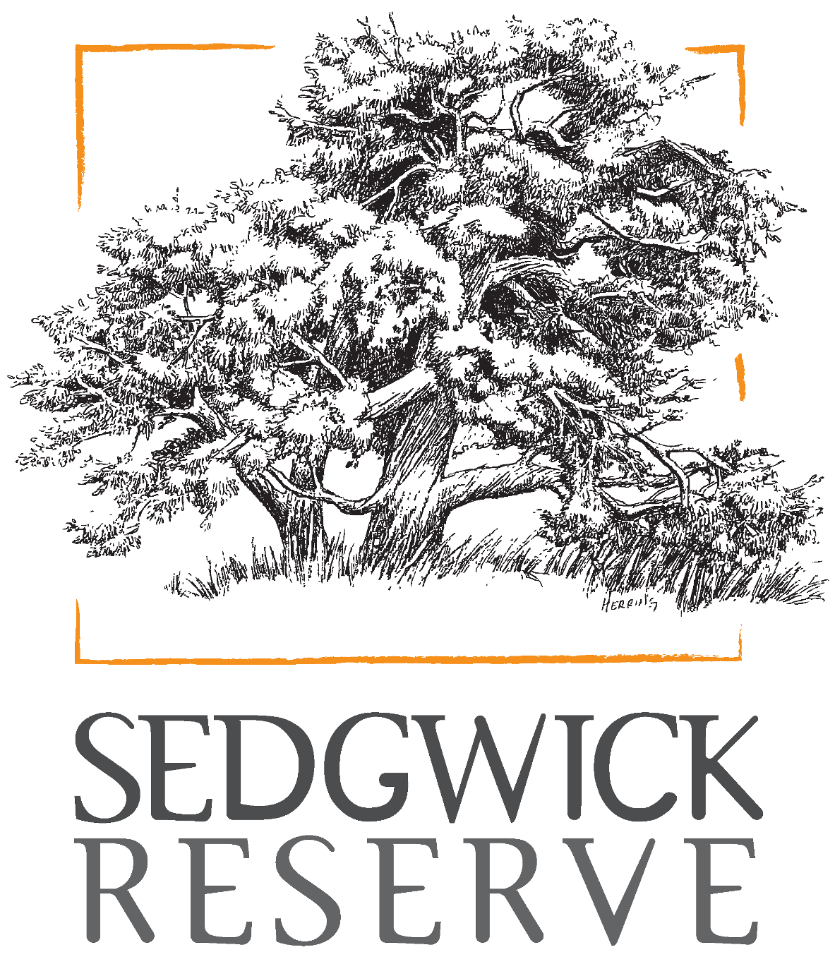 Sedgwick Reserve