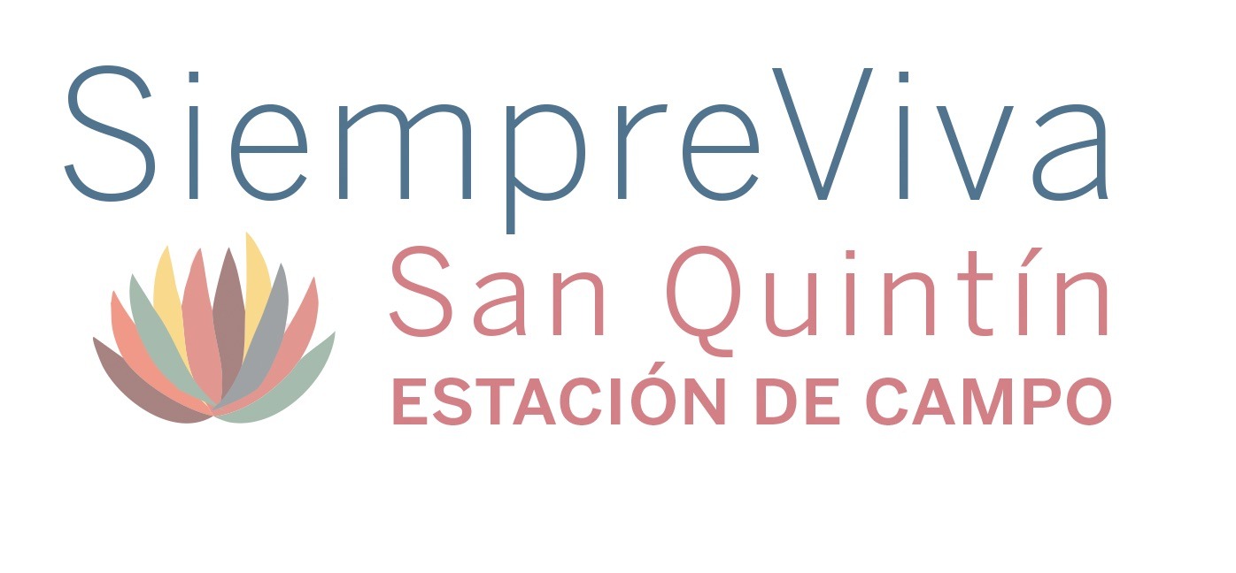 Siempre Viva San Quintín Field Station