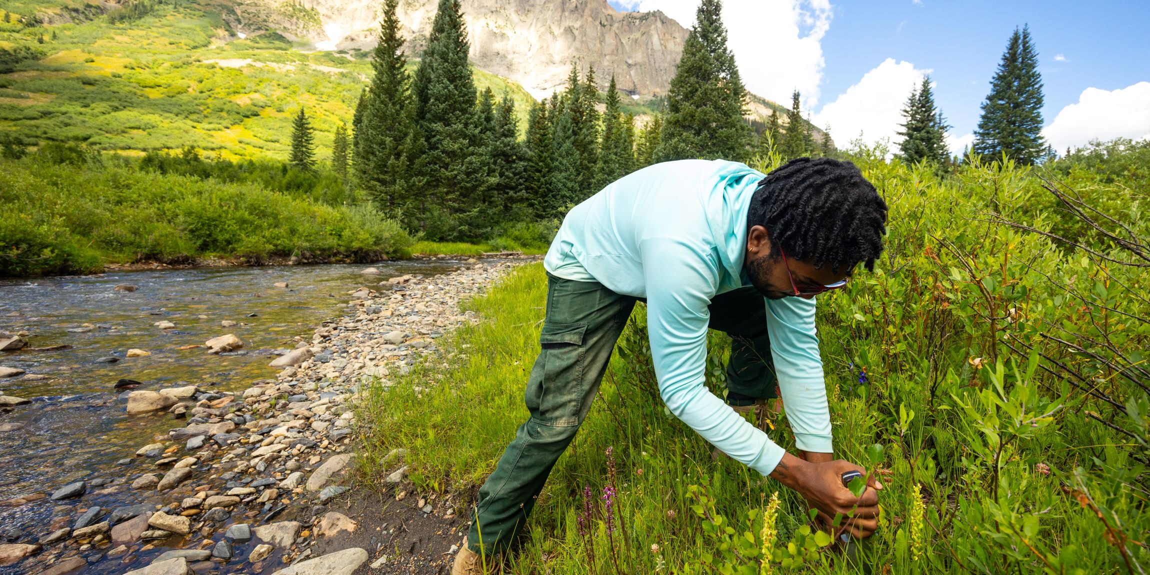 Jordan Argrett, a UGA Researcher working on paintbrush plant at Rocky Mountain Biological Laboratory, CO. Photo courtesy of Joe Klementovich.